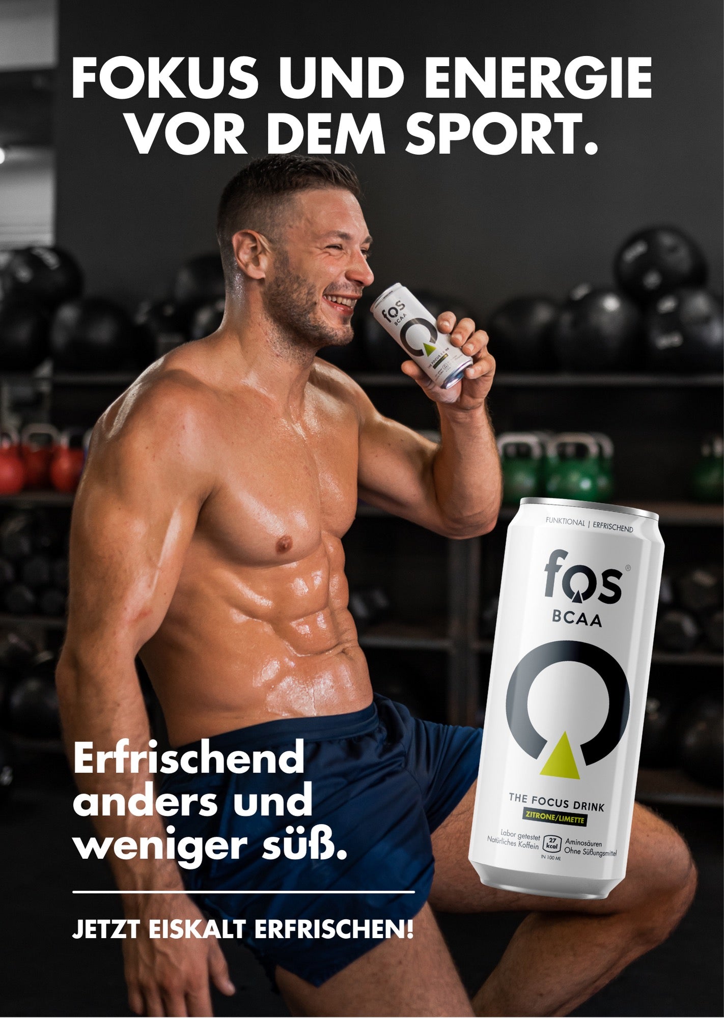 Plakat DINA 3 fos BCAA (6Stk.)