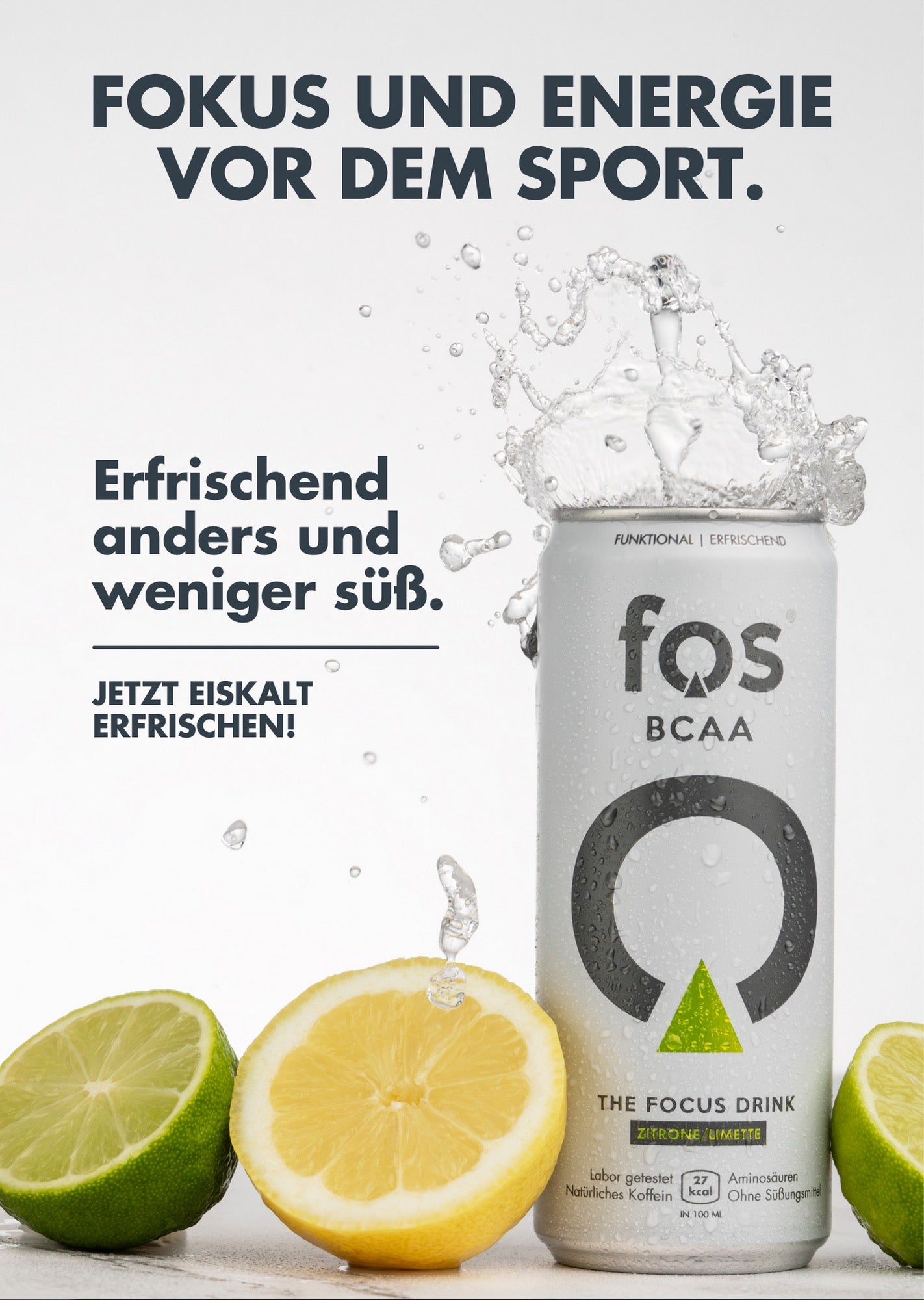 Plakat DINA 3 fos BCAA (6Stk.)